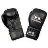 Schwarze Boxhandschuhe aus strapazierfähigem PU-Material, speziell für Fitness-Boxing.