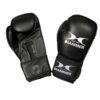 boxhandschuhe für kinder blitz hammer boxing aus strapazierfähigem pu-material, mit ergonomischer passform und polsterung.