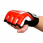 mma_handschuhe_mixed_martial_arts