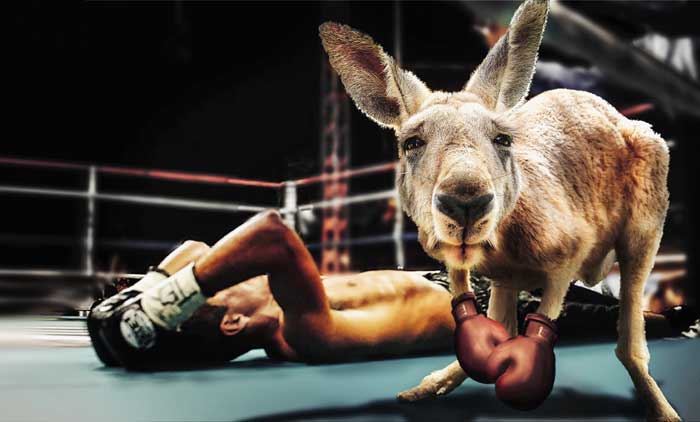 sport-und-fitness